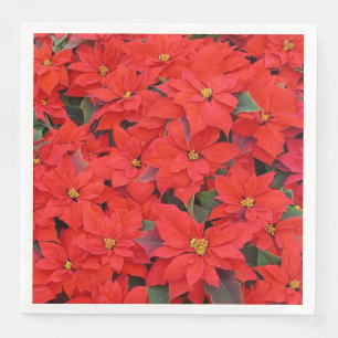 Red Poinsettias I Christmas Holiday Floral Foto Serviette
