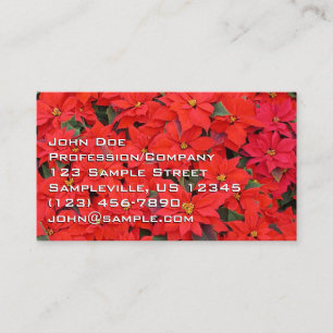 Red Poinsettias I Christmas Holiday Floral Foto Visitenkarte