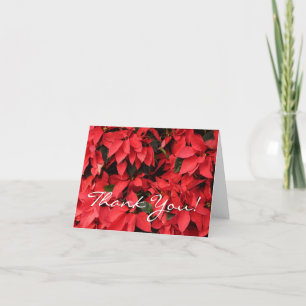 Red Poinsettias II Weihnachtsfeiertage Dankeskarte