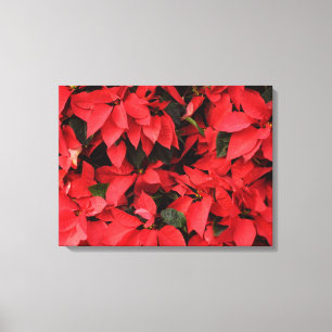 Red Poinsettias II Weihnachtsfeiertage Leinwanddruck