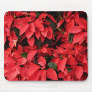 Red Poinsettias II Weihnachtsfeiertage Mousepad