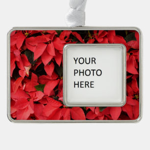 Red Poinsettias II Weihnachtsfeiertage Rahmen-Ornament Silber
