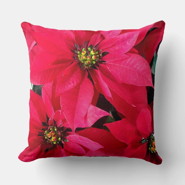 Red Poinsettias Kissen (Vorderseite)