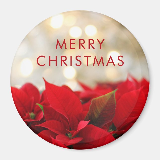 Red Poinsettias mit Golden Bokeh Weihnachten Magnet (Vorne)