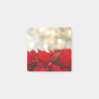 Red Poinsettias mit Golden Bokeh Weihnachten