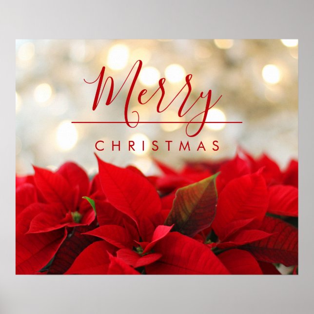 Red Poinsettias mit Golden Bokeh Weihnachten Poster (Vorne)