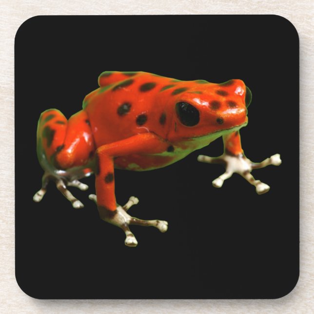 Red Poison Dart Frog Getränkeuntersetzer (Vorderseite)