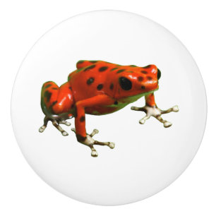 Red Poison Dart Frog Keramikknauf