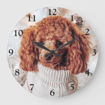 Red Poodle in einem Pullover unter einem Weihnacht