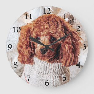 Red Poodle in einem Pullover unter einem Weihnacht Große Wanduhr