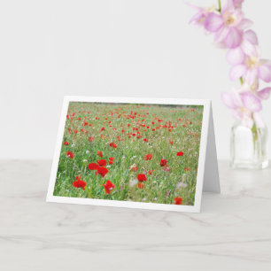 Red Poppe Blume Card Karte