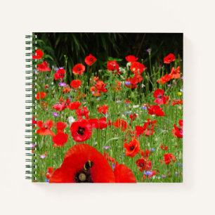 Red Poppies Field Notebook Notizbuch