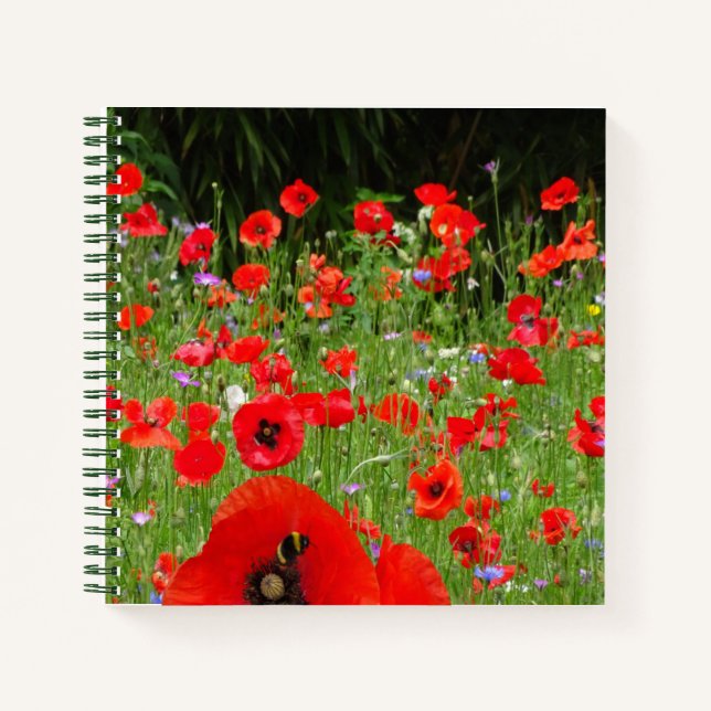 Red Poppies Field Notebook Notizbuch (Vorderseite)