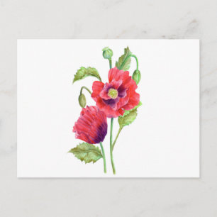 Red Poppies floral Art Postkarte
