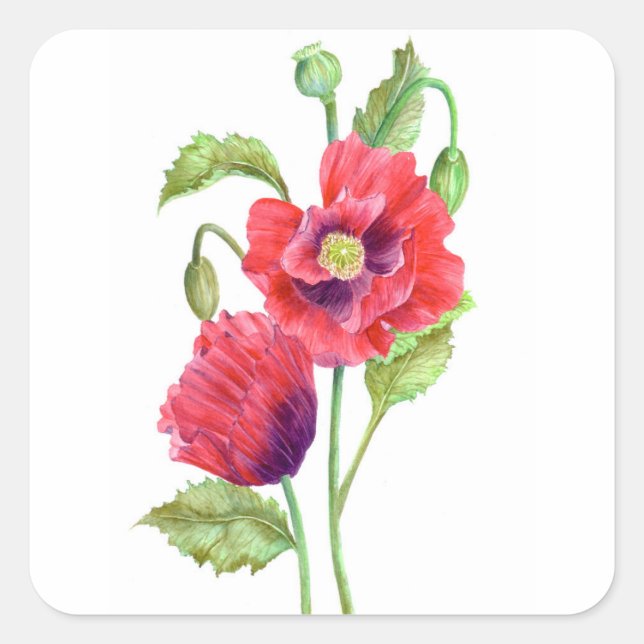 Red Poppies floral Art Quadratischer Aufkleber (Vorderseite)