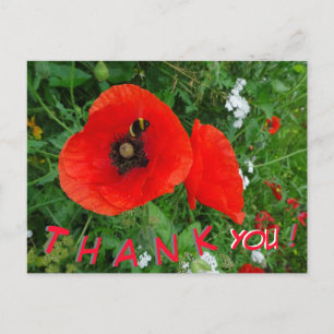 Red Poppies mit Biene DANK YOU Postcard Postkarte