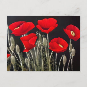 Red Poppies Nature Art Postkarte