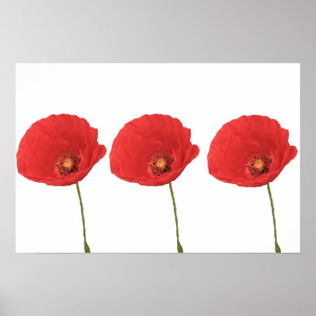 Red Poppies Poster Print (Vorne)