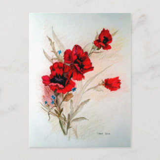 Red Poppies Postkarte
