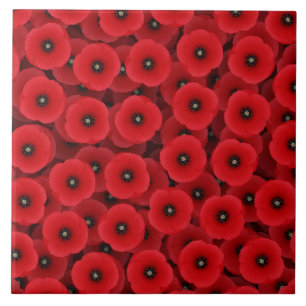 Red Poppies Tile Fliese