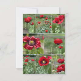 Red Poppy Collage Mitteilungskarte