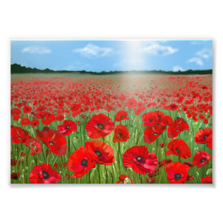 Red poppy field wall art decor landscape fotodruck