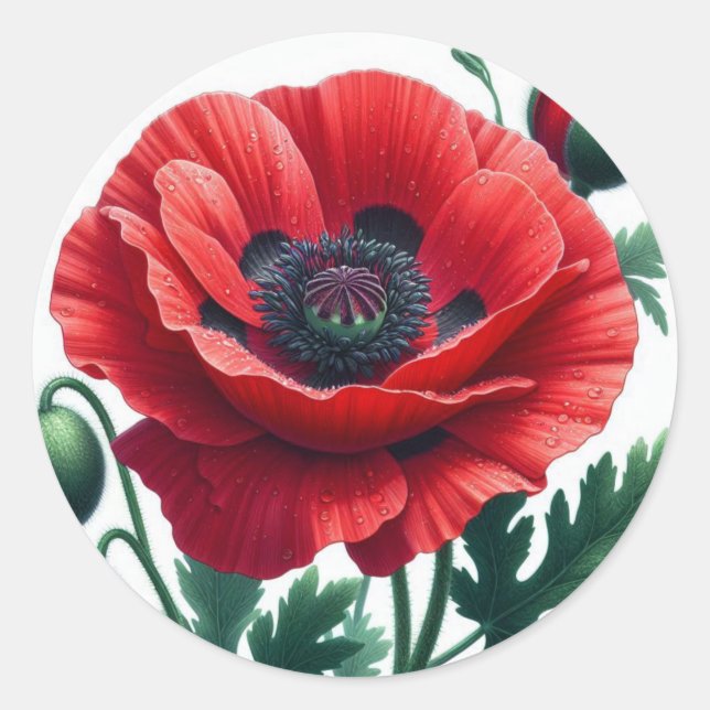 Red Poppy Floral Runder Aufkleber (Vorderseite)