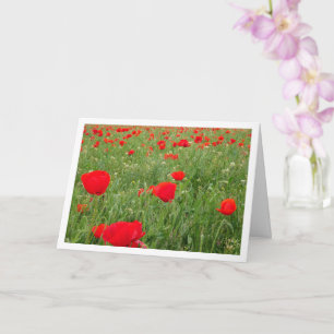 Red Poppy Flowers Karte