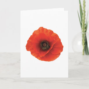Red Poppy Karte