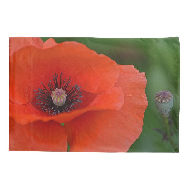 Red Poppy Kissenbezug (Rückseite)