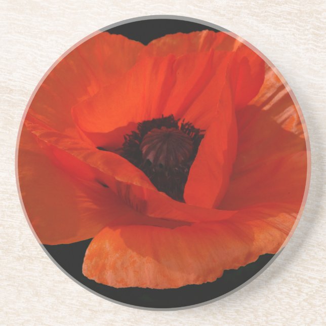Red Poppy Macro Untersetzer (Vorne)