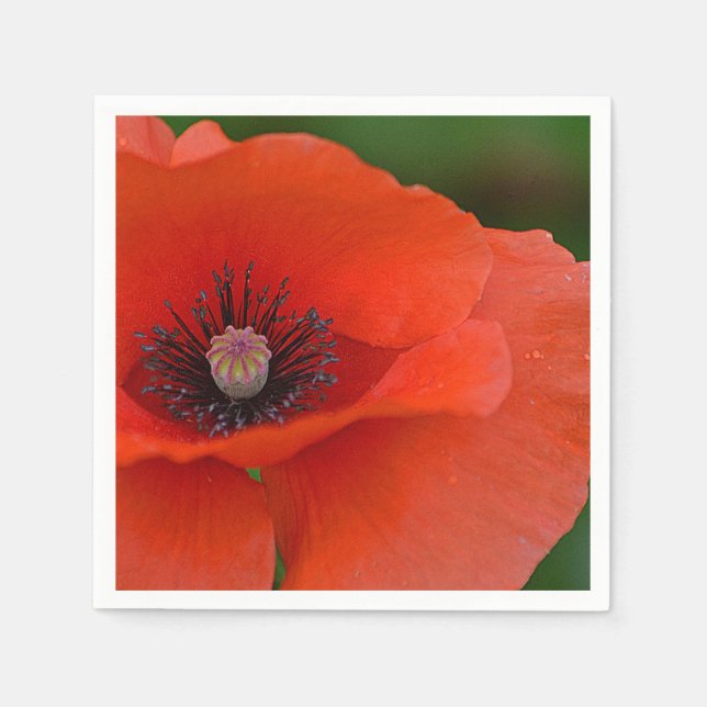 Red Poppy Napkin Serviette (Vorderseite)