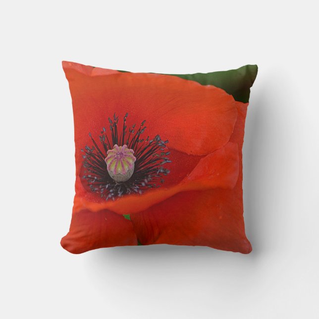 Red Poppy Pillow Kissen (Vorderseite)