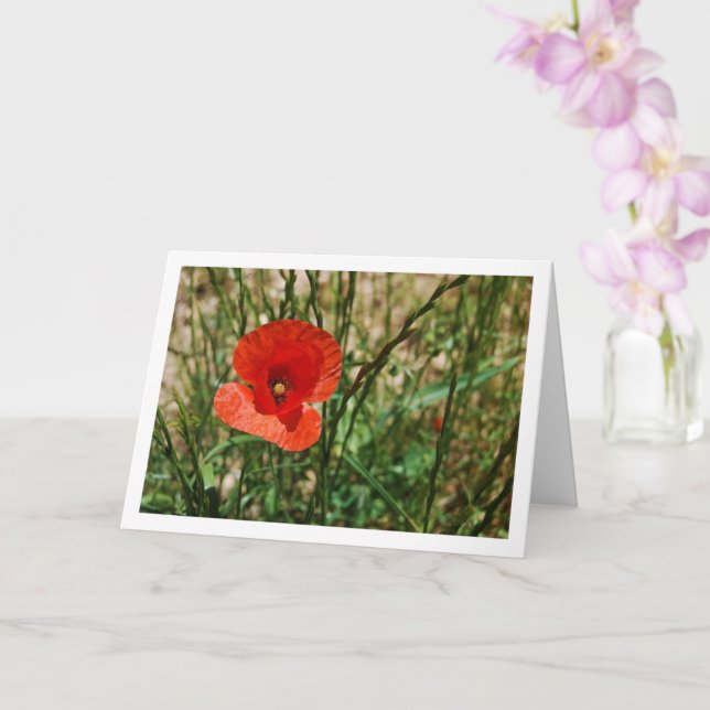 Red Poppy Portrait Karte (Orchidee)