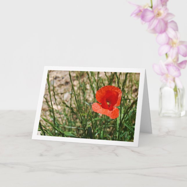 Red Poppy Portrait Karte (Orchidee)