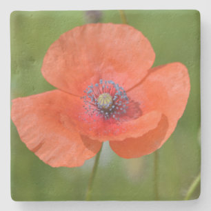 Red Poppy Steinuntersetzer