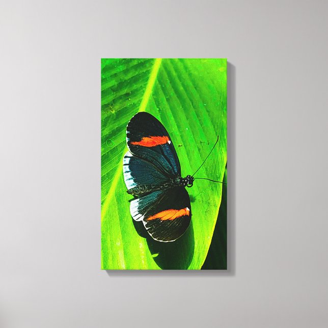 Red Postman Leinwanddruck (Vorderseite)