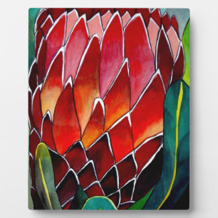 Red Protea Blume Original Aquarellkunst Fotoplatte
