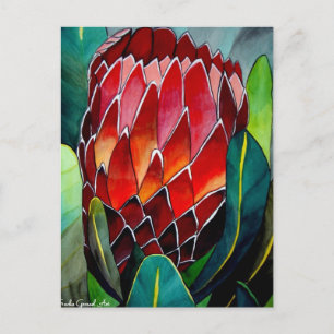 Red Protea Blume Original Aquarellkunst Postkarte
