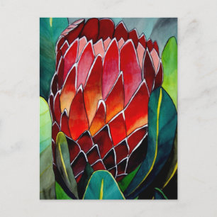 Red Protea Blume Original Aquarellkunst Postkarte
