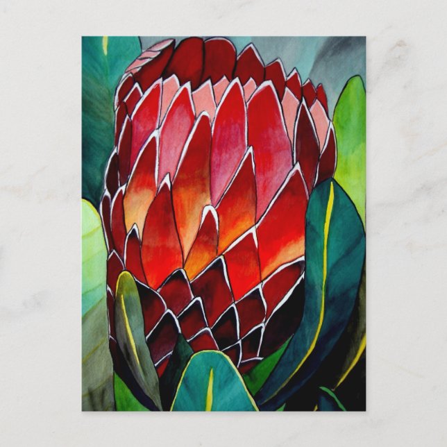Red Protea Blume Original Aquarellkunst Postkarte (Vorderseite)