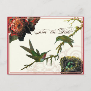Red Protea Hummingbirds - Save the Date Postkarte