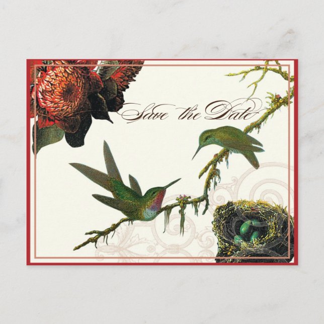 Red Protea Hummingbirds - Save the Date Postkarte (Vorderseite)