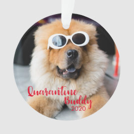 Red Quarantine Buddy Hund Foto Weihnachten Ornament