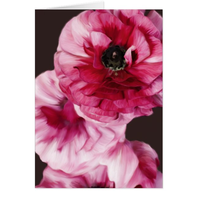 Red Ranunculus (Vorne)