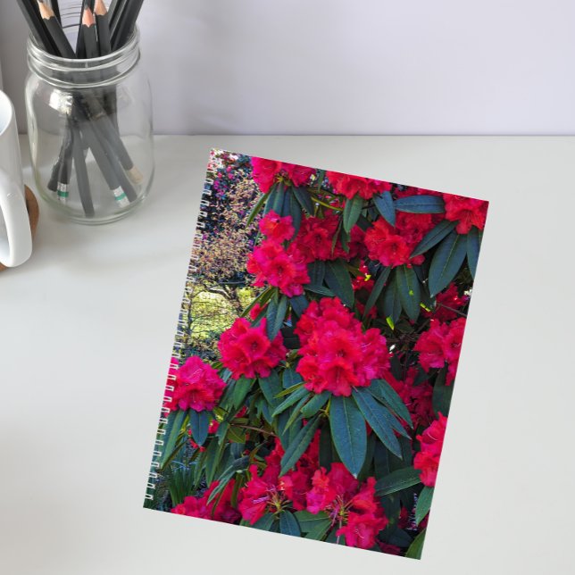 Red Rhododendron Blooms Floral-Notebook Notizbuch (In Situ)