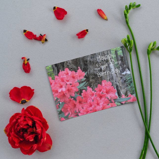 Red Rhododendrons Floral Leap Day Birthday Karte (In Situ)