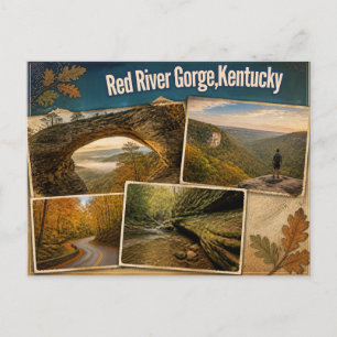 Red River Gorge, Kentucky Postkarte