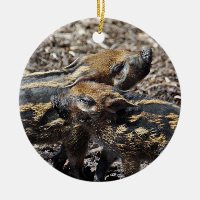 Red River Schwein-Verzierung Keramik Ornament (Vorne)