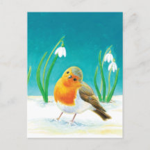Red Robin Bird (Erithacus rubecula) & Snowdrops
